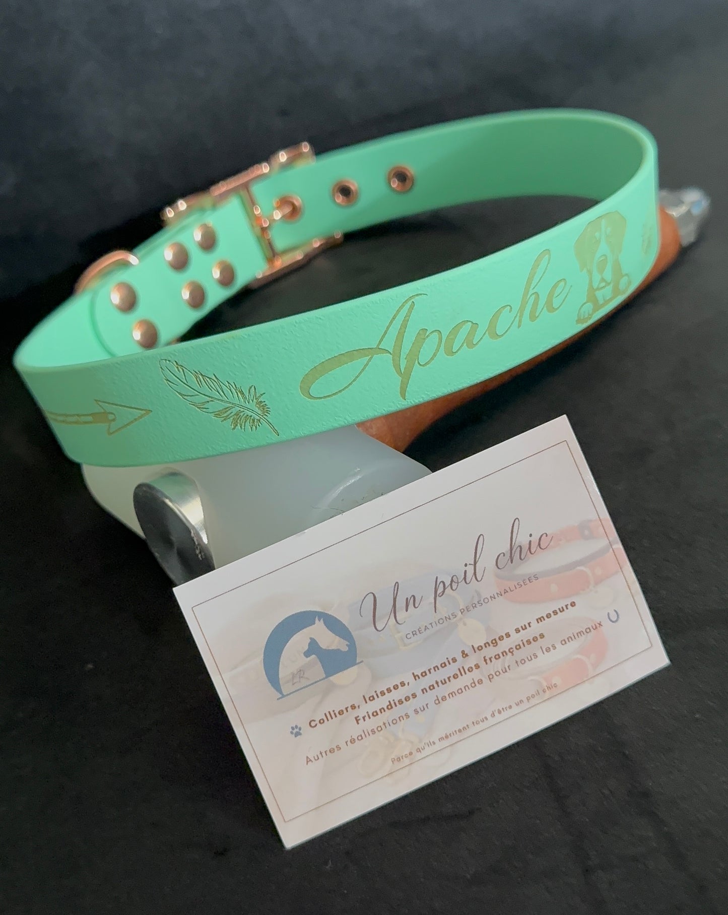 Collier pour chien sur mesure et personnalisable en BIOTHANE Unicolore