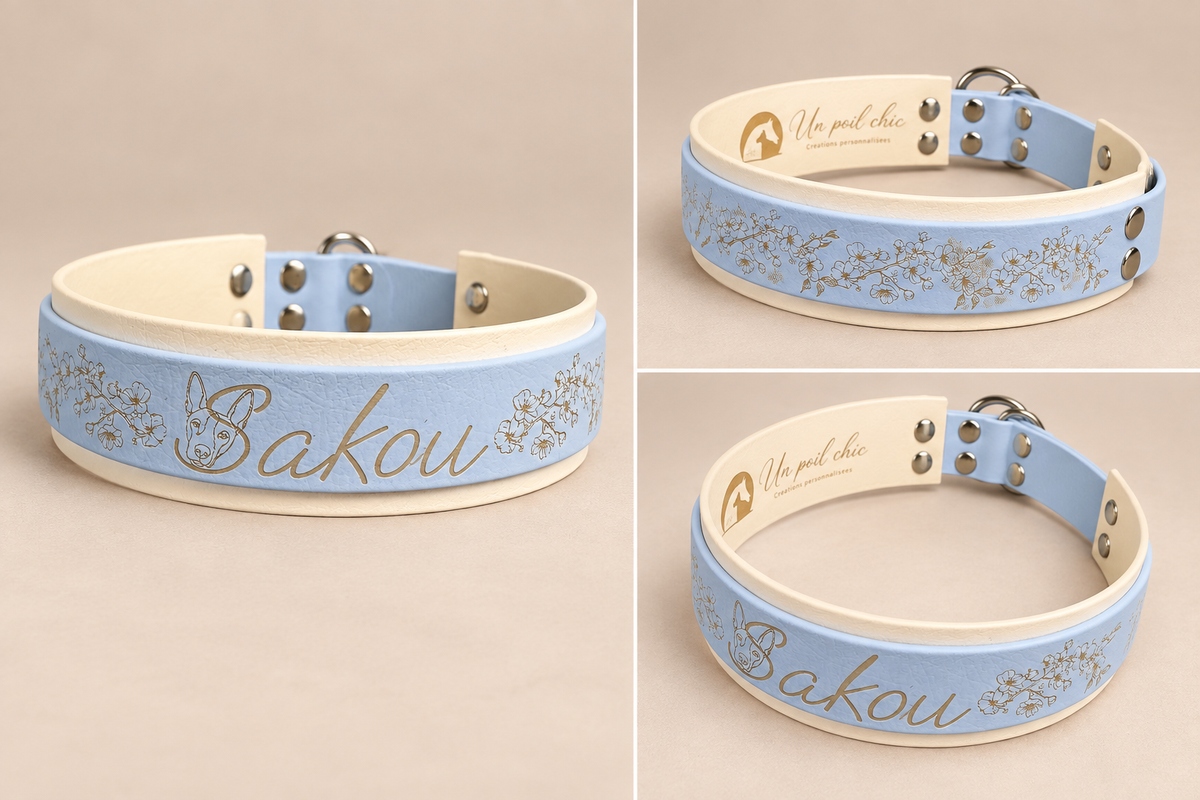 Le Martingale — Collier Biothane® bicolore martingale personnalisé pour chien