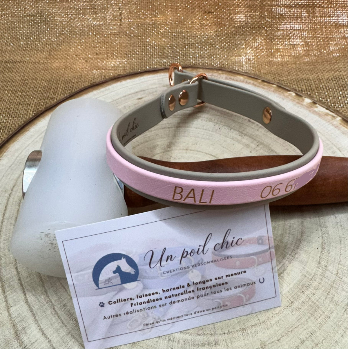 Collier Martingale bicolore en Biothane personnalisé pour chien
