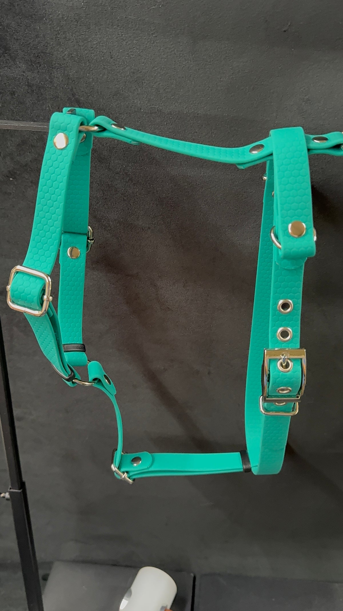 Harnais en H pour chien en HEXA sur mesure et personnalisable unicolore