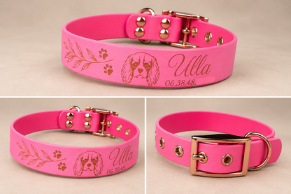 L’Essentiel — Collier Biothane® unicolore personnalisé pour chien