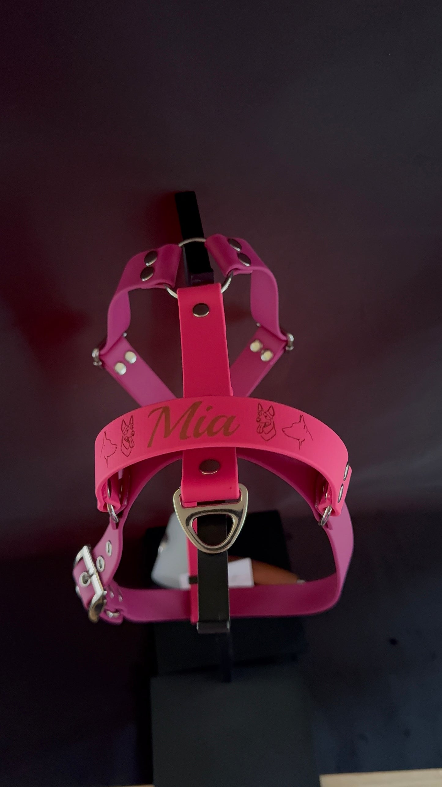 Harnais en H pour chien en BIOTHANE sur mesure et personnalisable bicolore