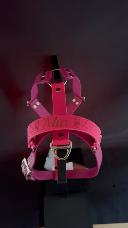 Harnais en H pour chien en BIOTHANE sur mesure et personnalisable bicolore