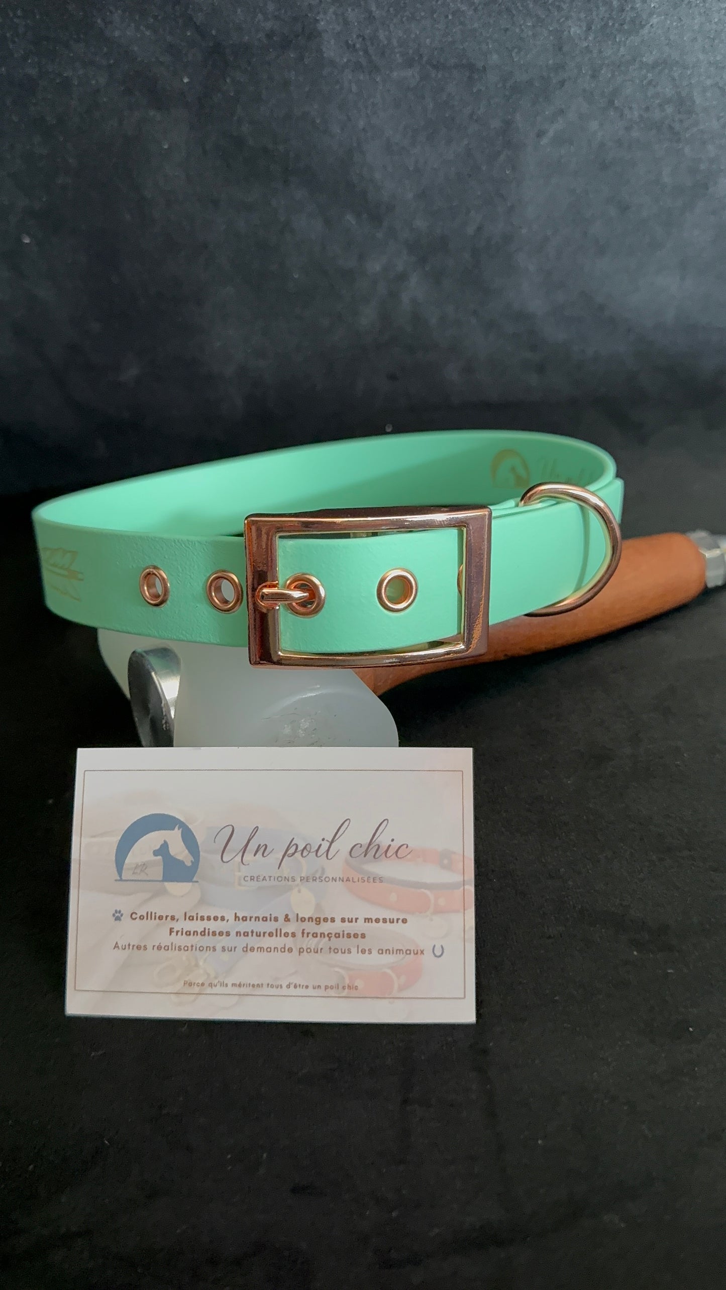Collier pour chien sur mesure et personnalisable en BIOTHANE Unicolore