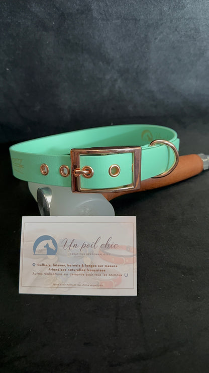 Collier pour chien sur mesure et personnalisable en BIOTHANE Unicolore