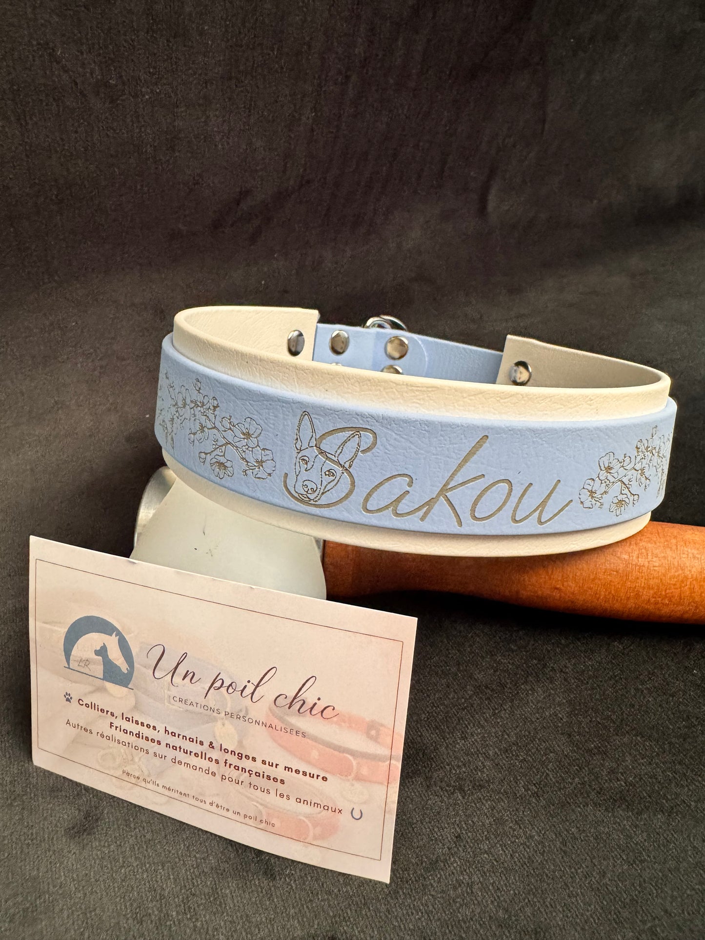 Collier Martingale bicolore en Biothane personnalisé pour chien