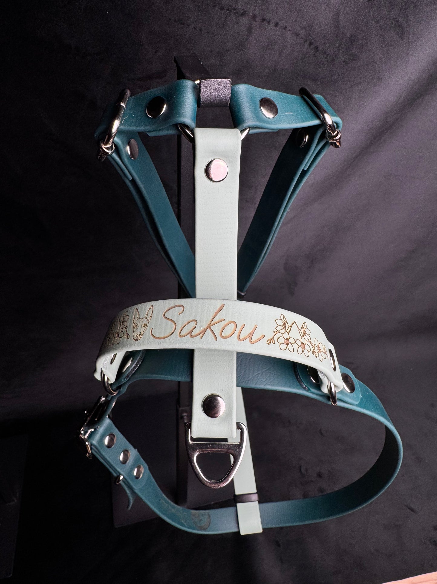 Harnais en H pour chien en BIOTHANE sur mesure et personnalisable bicolore