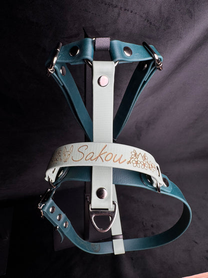 Harnais en H pour chien en BIOTHANE sur mesure et personnalisable bicolore