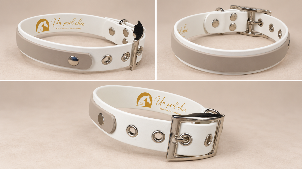 L’Alliance — Collier Biothane® bicolore personnalisé pour chien