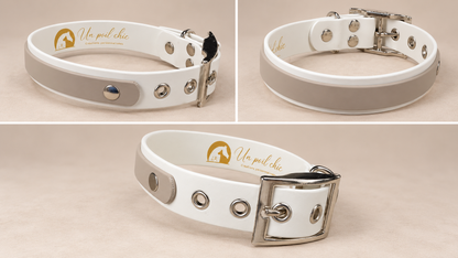 L’Alliance — Collier Biothane® bicolore personnalisé pour chien
