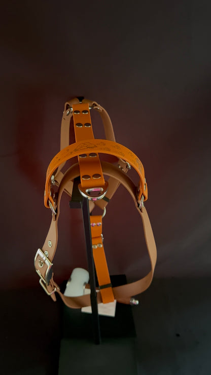 Harnais en H pour chien en BIOTHANE sur mesure et personnalisable bicolore