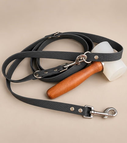 La Modulable Essentiel — Laisse multiposition HEXA 2 m personnalisée pour chien