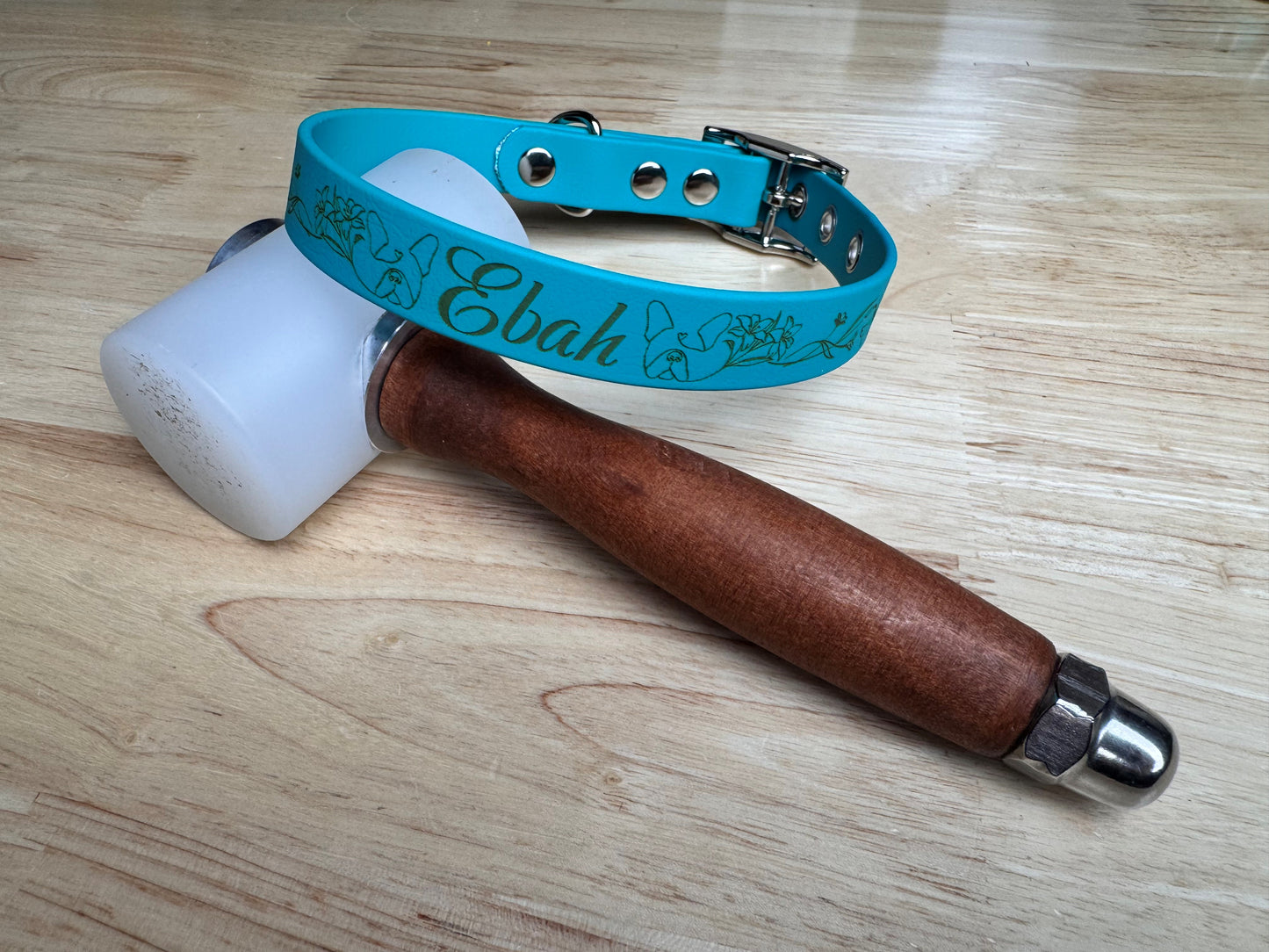 Collier pour chien sur mesure et personnalisable en BIOTHANE Unicolore