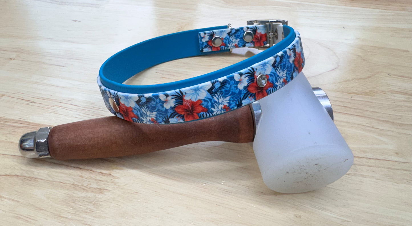 Collier pour chien sur mesure et personnalisable en BIOTHANE Bicolore | Édition spéciale |