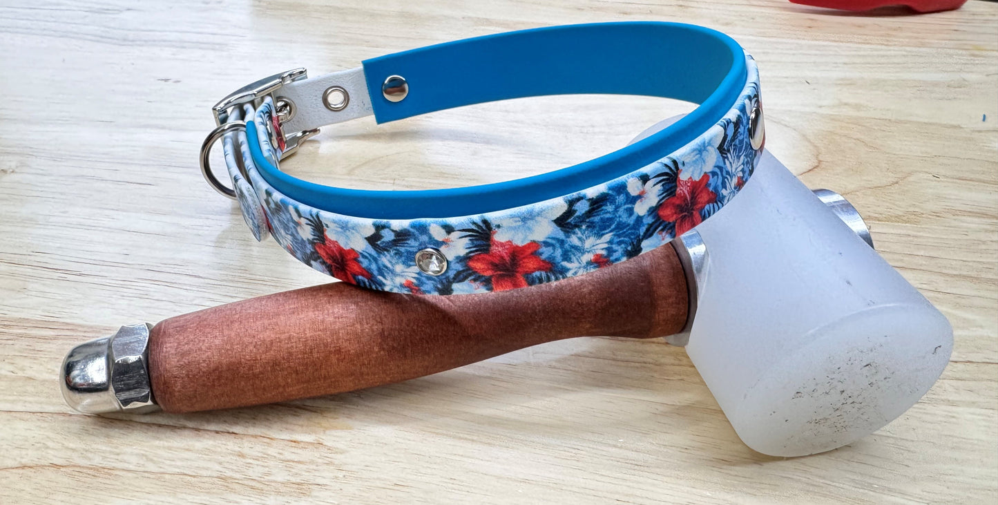 Collier pour chien sur mesure et personnalisable en BIOTHANE Bicolore | Édition spéciale |