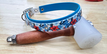 Collier pour chien sur mesure et personnalisable en BIOTHANE Bicolore | Édition spéciale |