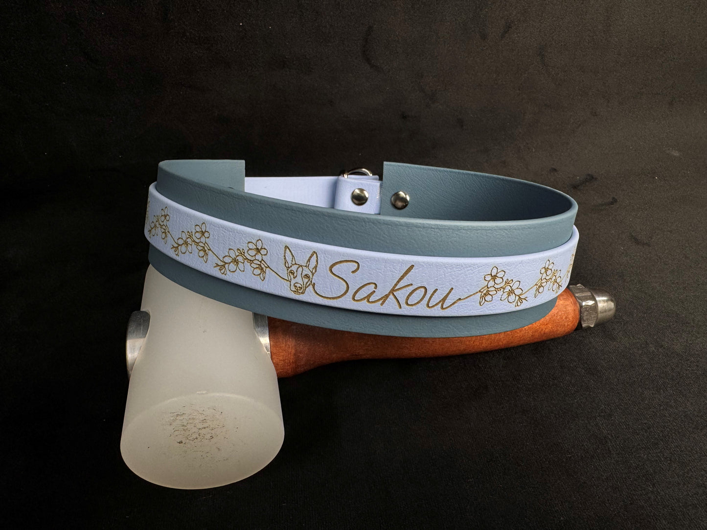 Collier Martingale bicolore en Biothane personnalisé pour chien
