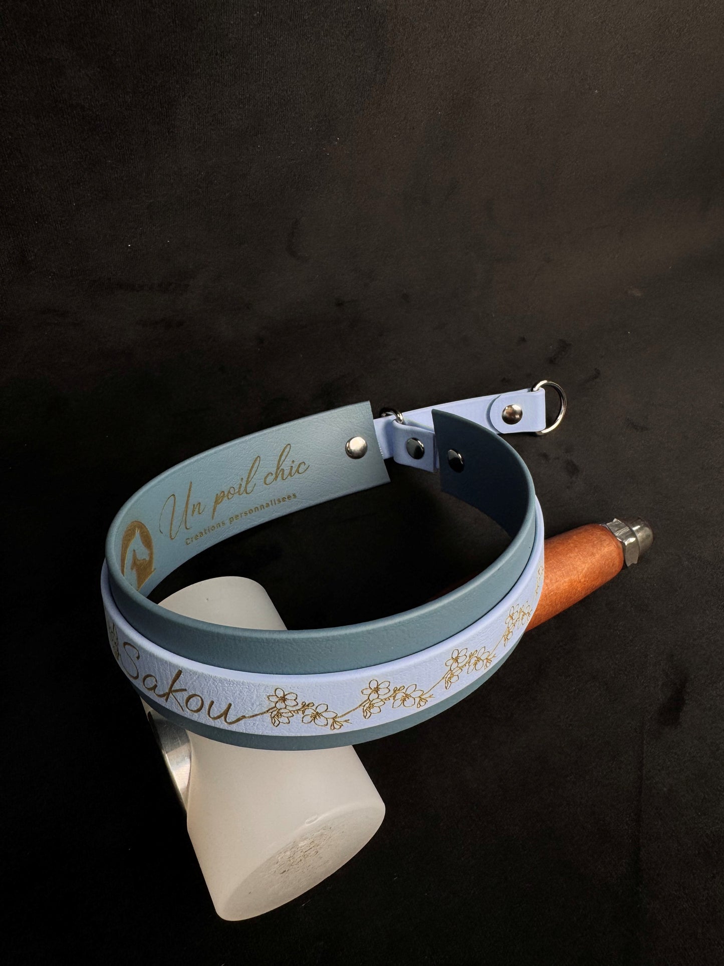 Collier Martingale bicolore en Biothane personnalisé pour chien