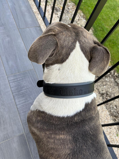 Collier pour chien sur mesure et personnalisable en BIOTHANE Bicolore
