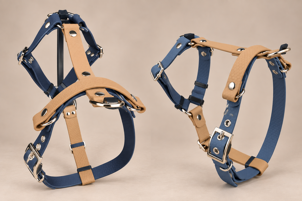 L’Alliance — Harnais H HEXA bicolore sur mesure et personnalisé pour chien