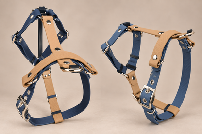 L’Alliance — Harnais H HEXA bicolore sur mesure et personnalisé pour chien