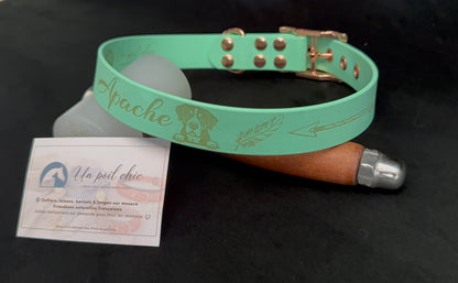 Collier pour chien sur mesure et personnalisable en BIOTHANE Unicolore
