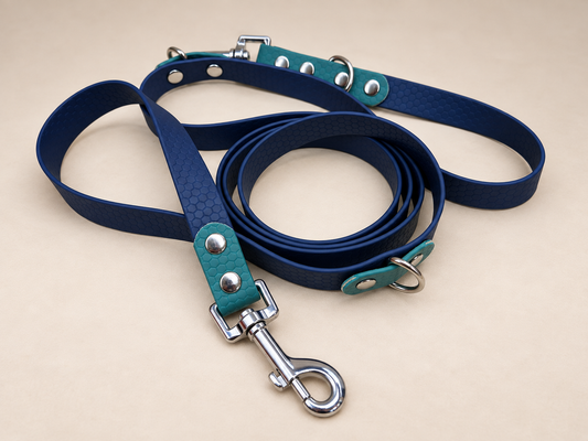 La Modulable Alliance — Laisse multiposition HEXA bicolore 2 m personnalisée pour chien