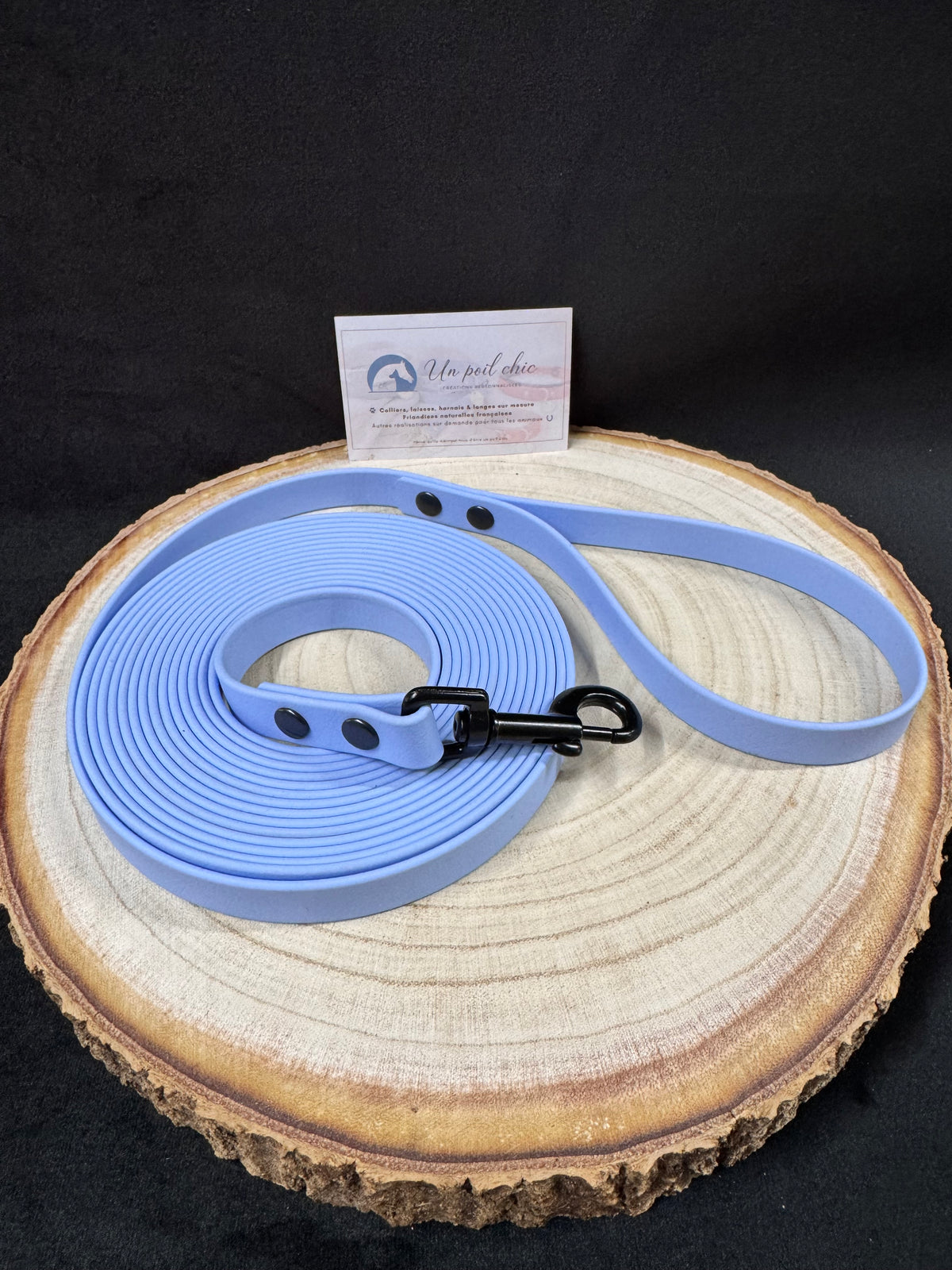 Longe pour chien en BIOTHANE personnalisable 5m