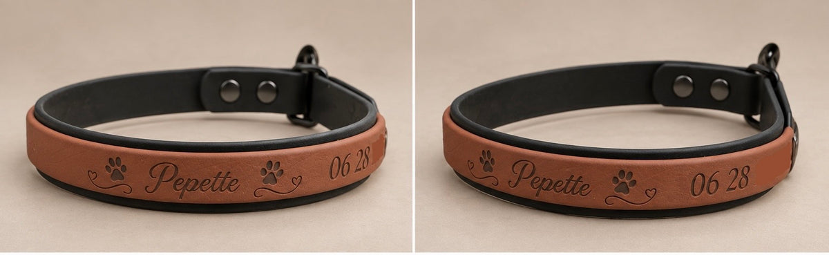 Le Martingale — Collier Biothane® bicolore martingale personnalisé pour chien