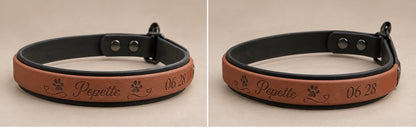 Le Martingale — Collier Biothane® bicolore martingale personnalisé pour chien
