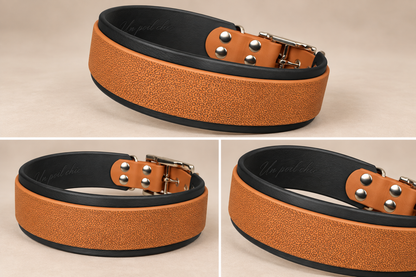 L’Alliance — Collier Biothane® bicolore personnalisé pour chien