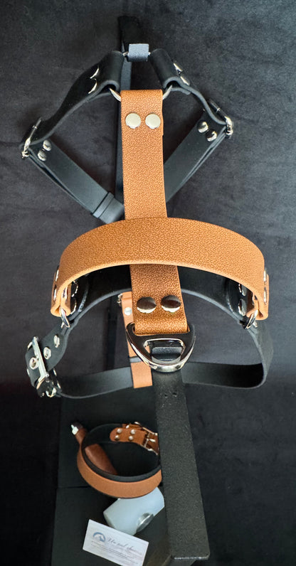 Harnais en H pour chien en BIOTHANE sur mesure et personnalisable bicolore