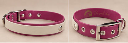 L’Alliance — Collier Biothane® bicolore personnalisé pour chien