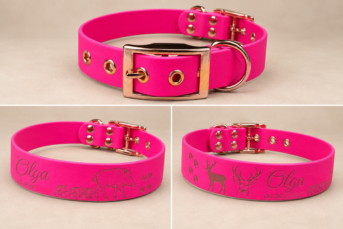 L’Essentiel — Collier Biothane® unicolore personnalisé pour chien