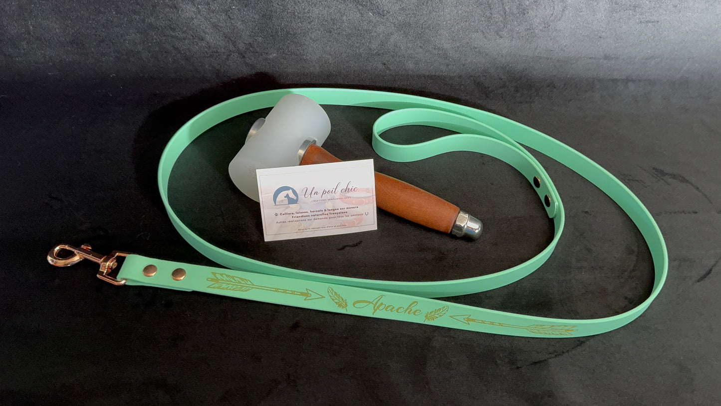 Laisse simple pour chien en BIOTHANE personnalisable