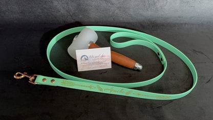 Laisse simple pour chien en BIOTHANE personnalisable