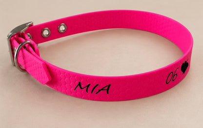 L’Essentiel — Collier HEXA unicolore personnalisé pour chien