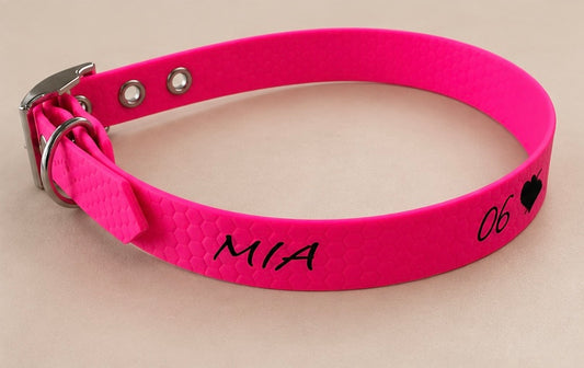 L’Essentiel — Collier HEXA unicolore personnalisé pour chien