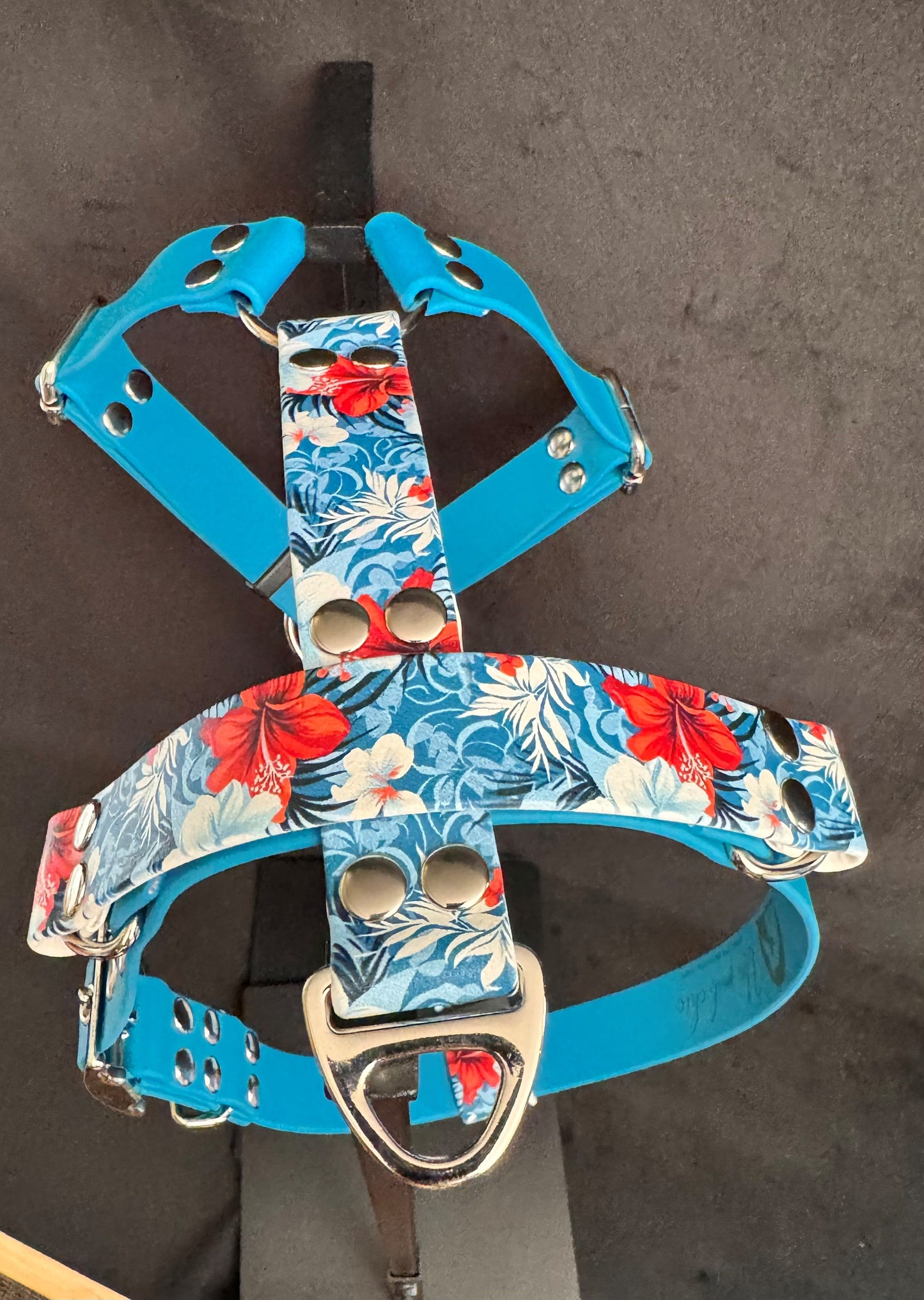 Harnais en H pour chien en BIOTHANE Édition Spéciale – Motifs Exclusifs