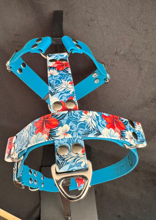 Harnais en H pour chien en BIOTHANE Édition Spéciale – Motifs Exclusifs