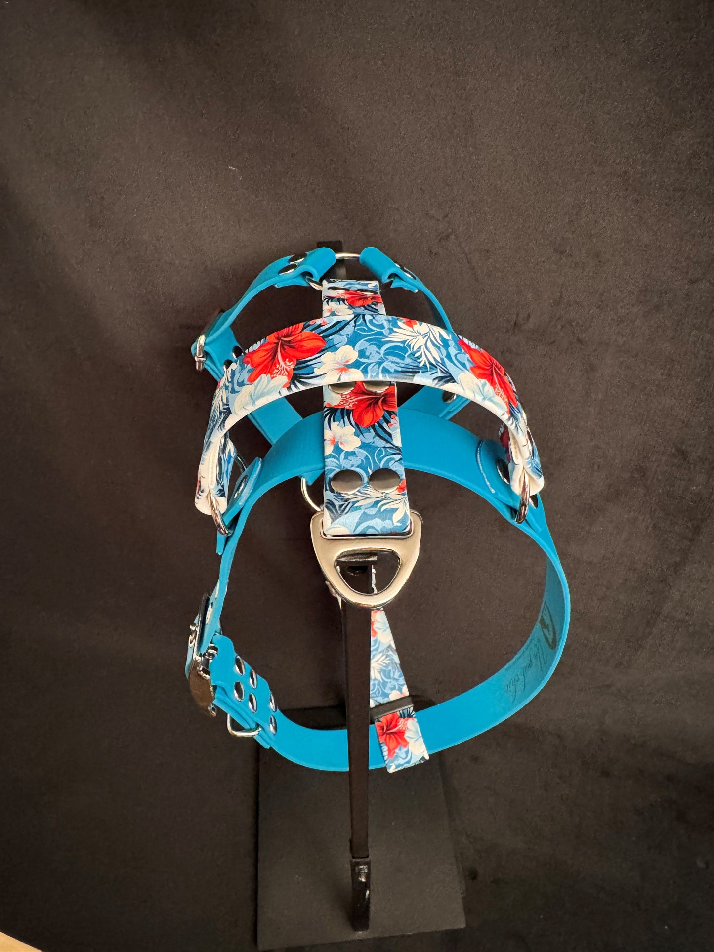 Harnais en H pour chien en BIOTHANE Édition Spéciale – Motifs Exclusifs