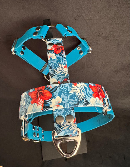 Harnais en H pour chien en BIOTHANE Édition Spéciale – Motifs Exclusifs