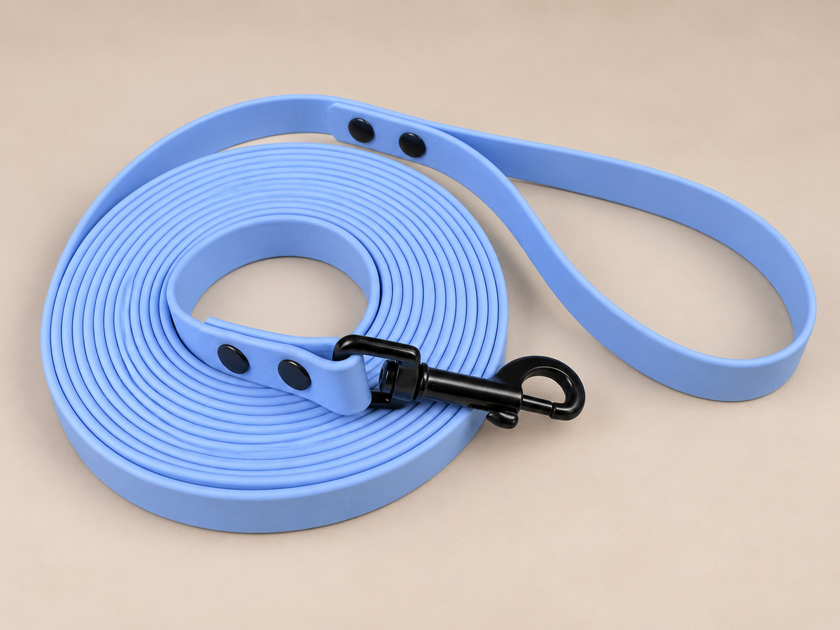 La Liberté 5 Essentiel — Longe Biothane® 5 m unicolore personnalisée pour chien