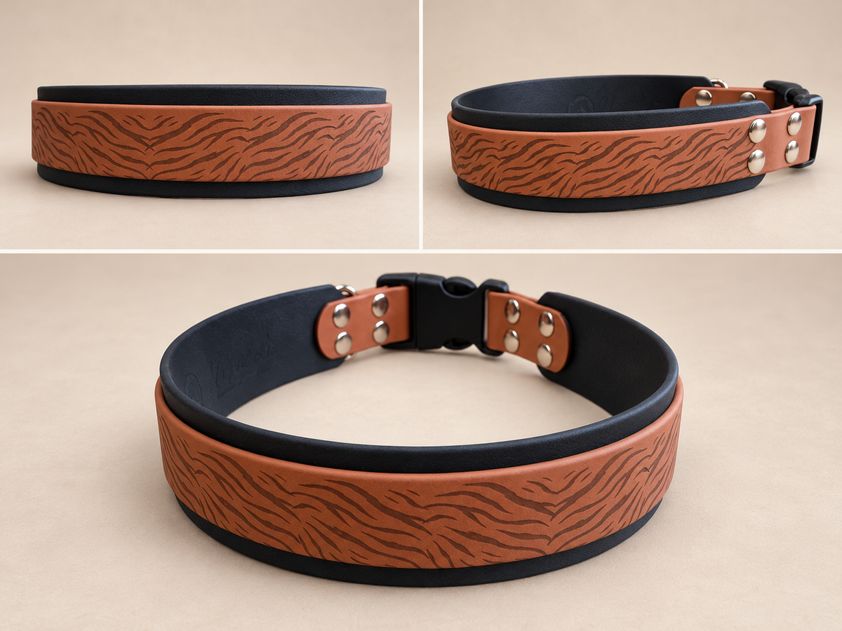 L’Express — Collier Biothane® à boucle rapide personnalisé pour chien