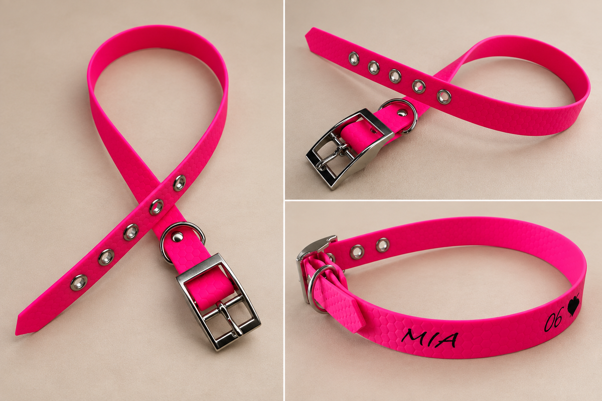 L’Essentiel — Collier HEXA unicolore personnalisé pour chien