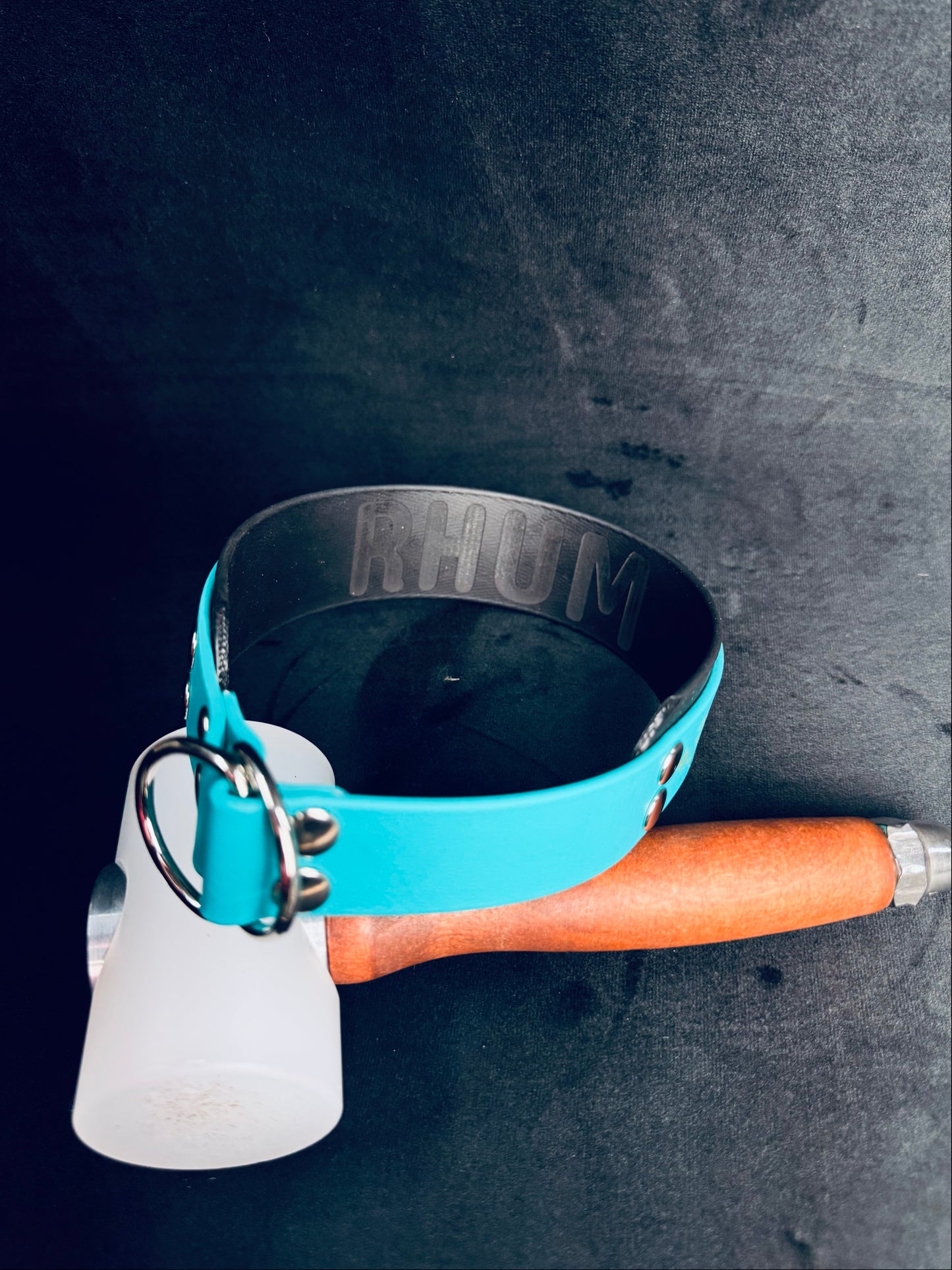 Collier Martingale bicolore en Biothane personnalisé pour chien