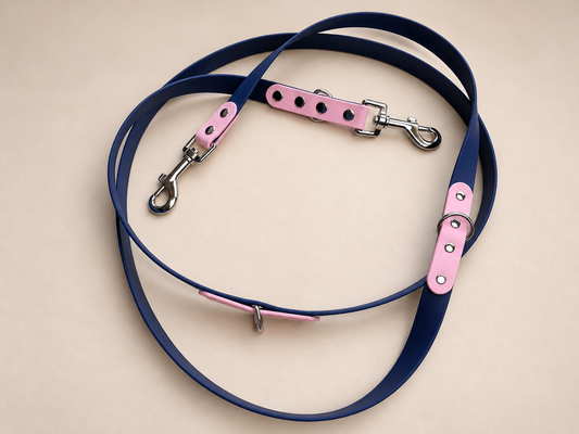 La Modulable Alliance — Laisse multiposition Biothane® bicolore 2 m personnalisée pour chien