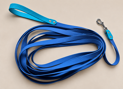 La Liberté 5 Alliance — Longe HEXA 5 m bicolore personnalisée pour chien