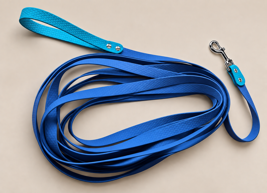 La Liberté 5 Alliance — Longe HEXA 5 m bicolore personnalisée pour chien