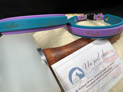 Collier pour chien sur mesure et personnalisable en BIOTHANE Bicolore